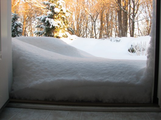 Out the Kitchen Door - Feb 14, 2014