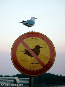 Sign Seagull