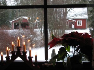 Savjo Sweden - DT Krippene