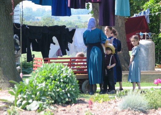 Amish World 1