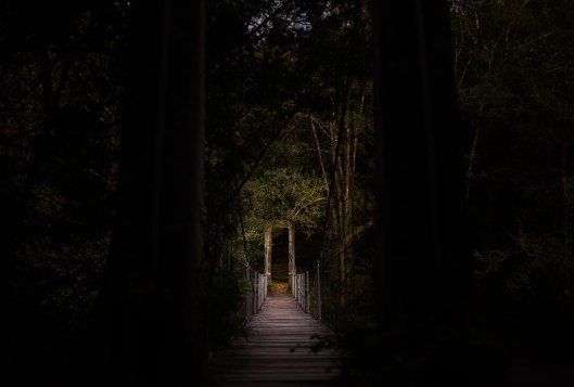 unsplash antonio-ron-darkened path 3