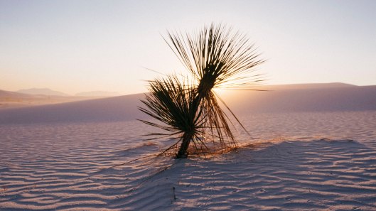 Unsplash sam-bloom-342809